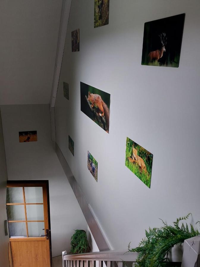 Ferienwohnung O Baguenaudes Jalhay Exterior foto